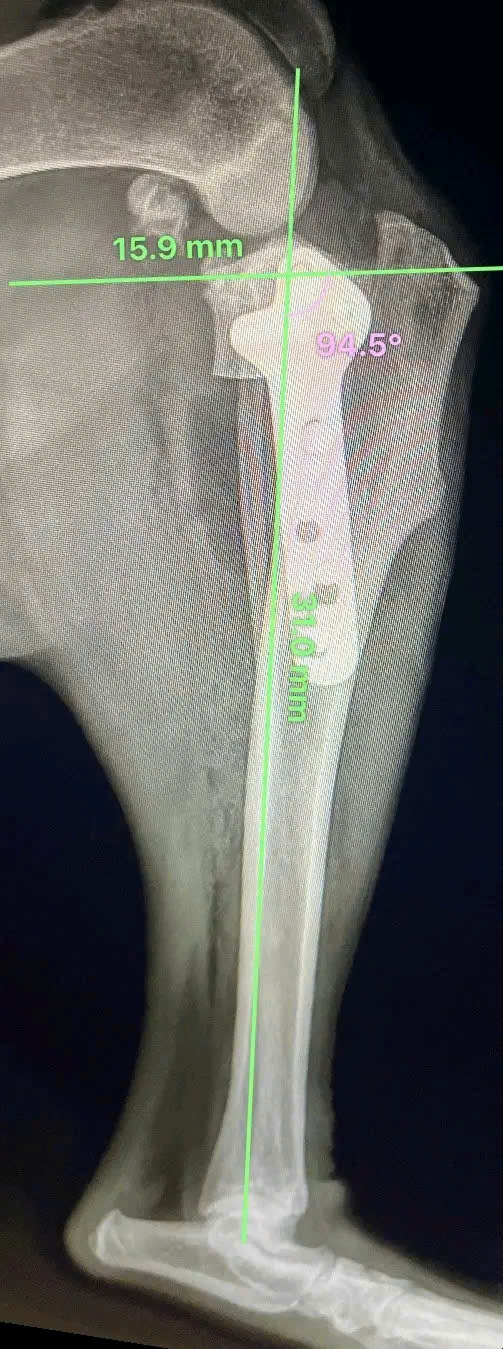 Bệnh viện Thú Y Gia Kiệm - Hình 8